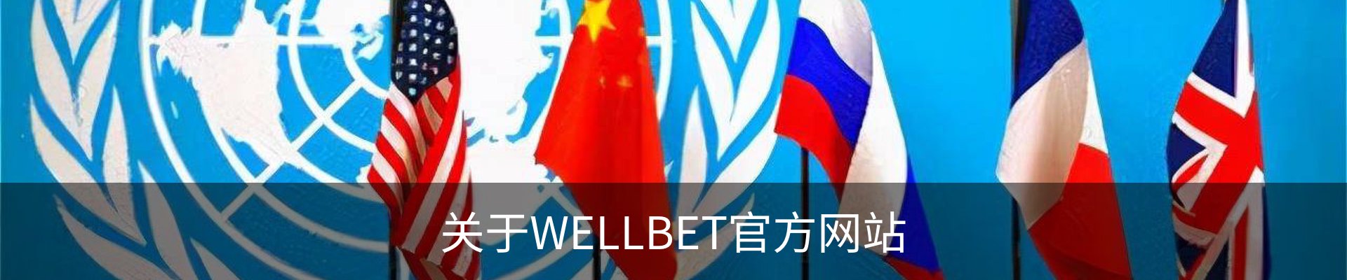 关于WELLBET官方网站
