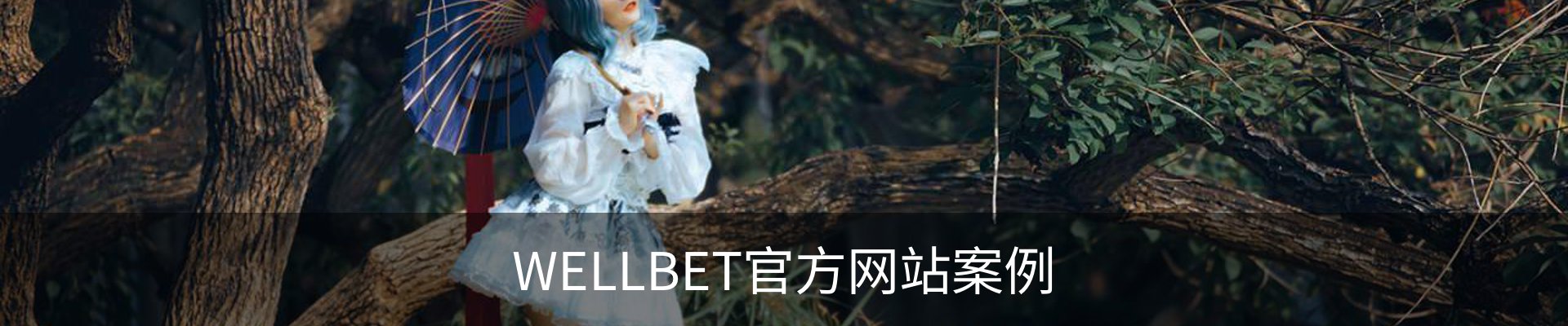 WELLBET官方网站案例